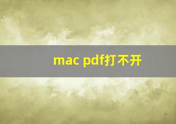 mac pdf打不开